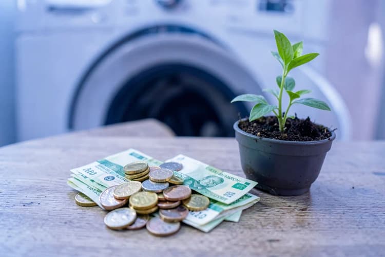 Uma pilha de moedas e notas de dinheiro ao lado de uma pequena planta crescendo.